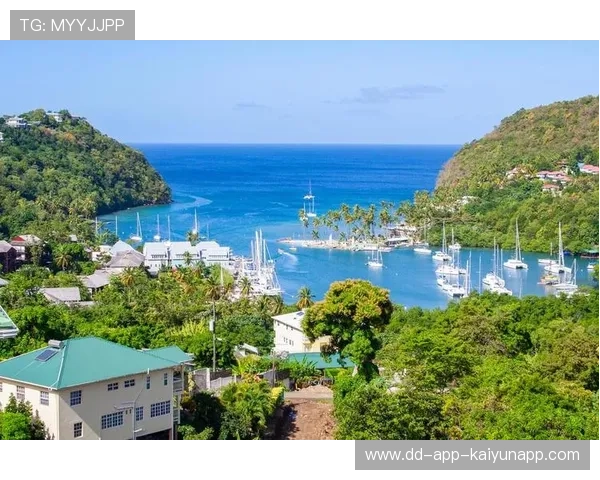 圣卢西亚加大体育基础设施投入,圣卢西亚投资移民咨询 圣卢西亚加大体育基础设施投入,圣卢西亚投资移民咨询