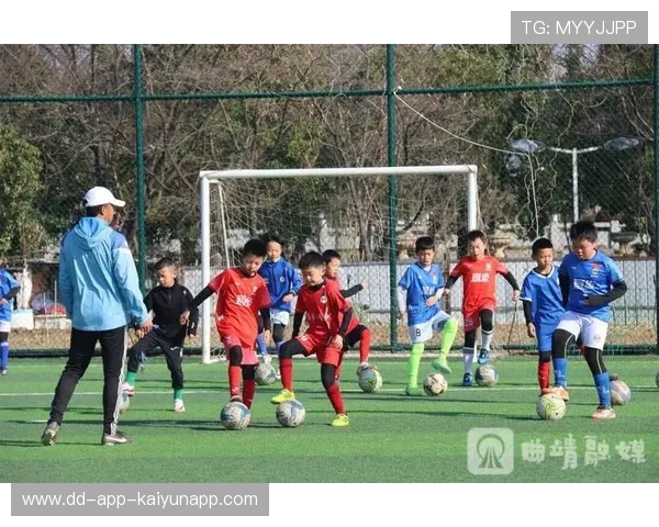 国际足球在青训投入上的成果逐步显现，国家足球青训进步了么