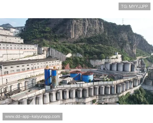 投资者遭遇强拆，茅台镇项目成焦点话题，茅台镇拆除酒厂名单