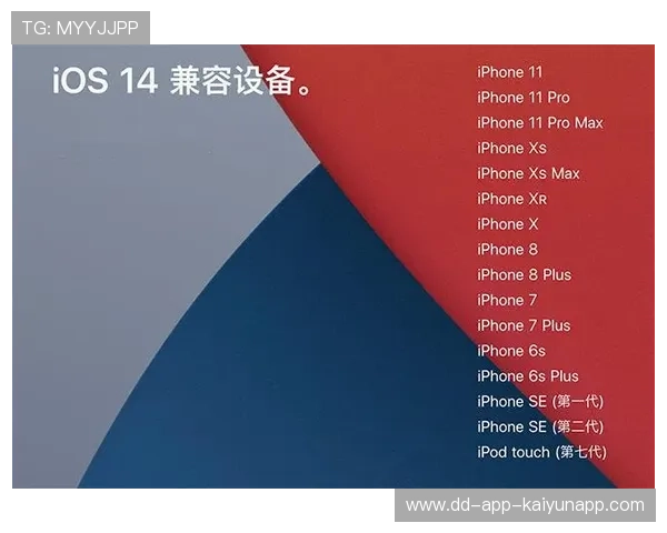 内容升级带来更多亮点