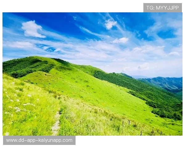 世界登山青年导师长期追踪研究第三期论文征稿启事,世界登山第一人是谁 世界登山青年导师长期追踪研究第三期论文征稿启事,世界登山第一人是谁